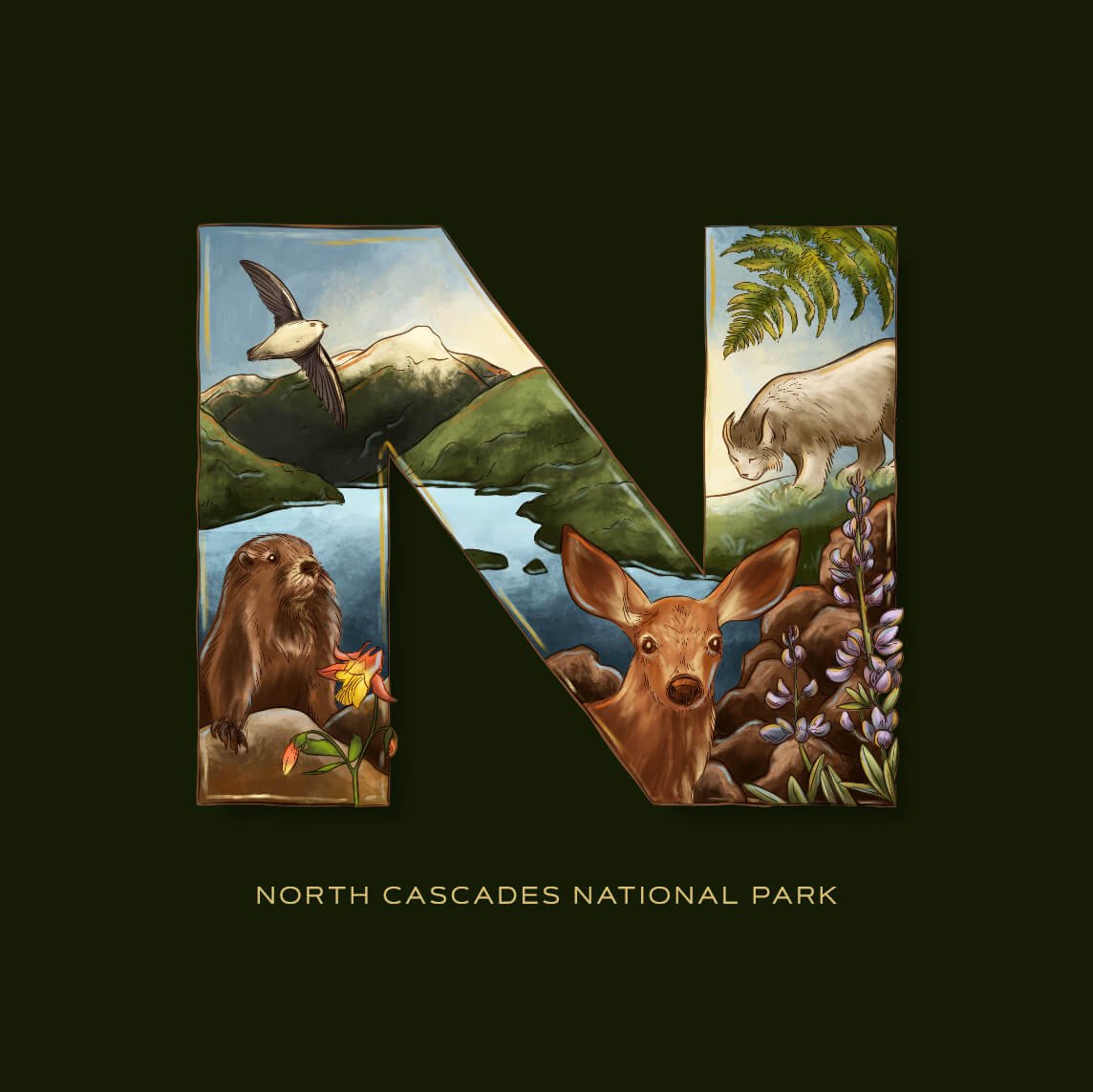 N is for North Cascades National Park