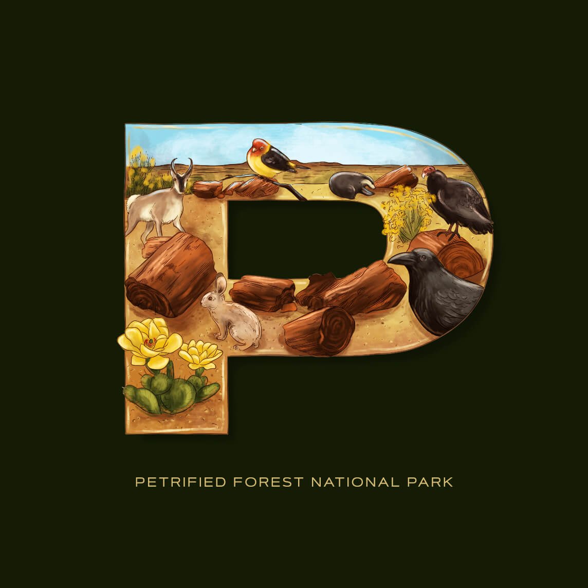 P is for Petrified Forest National Park