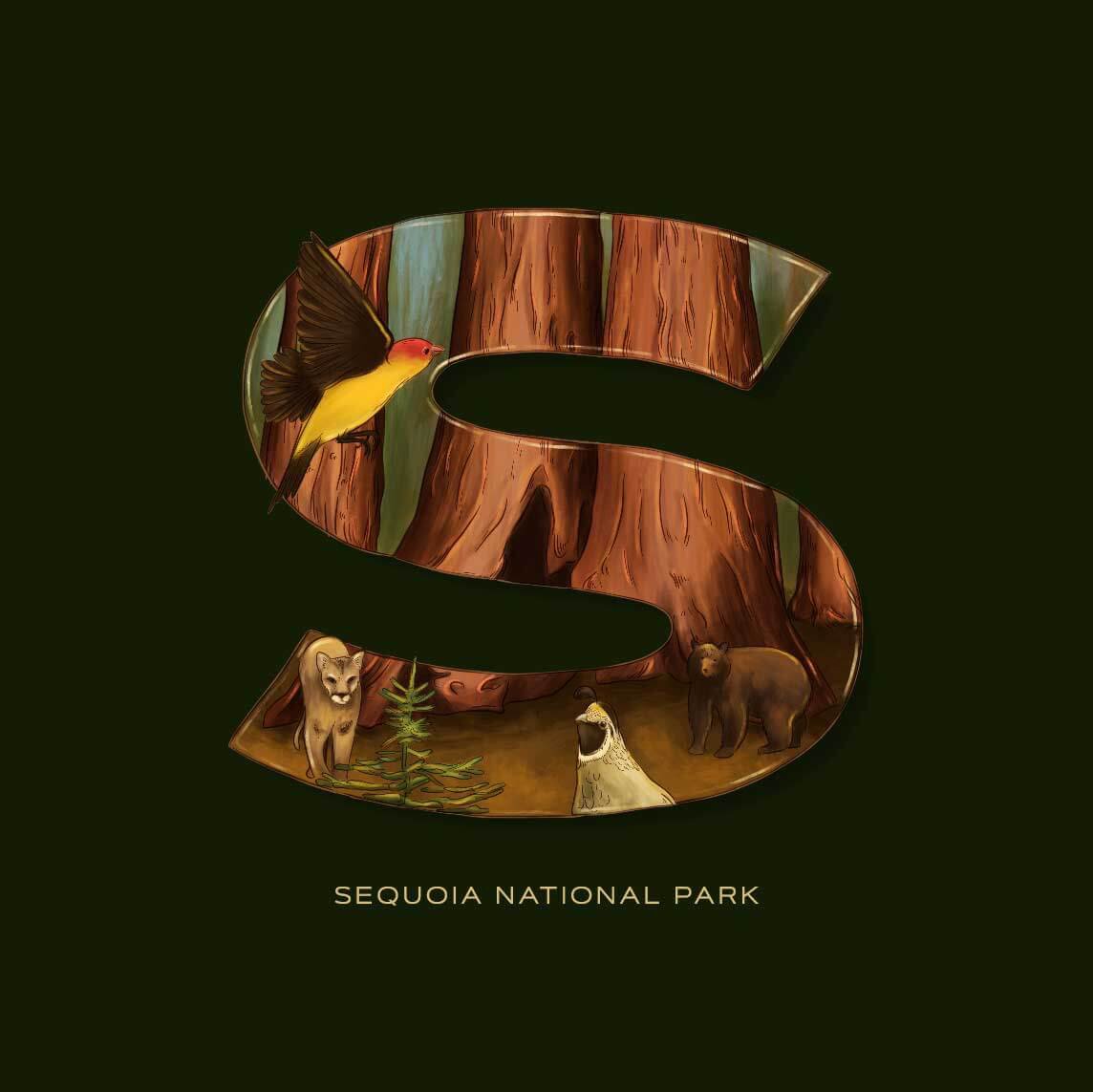 S is for Sequoia National Park