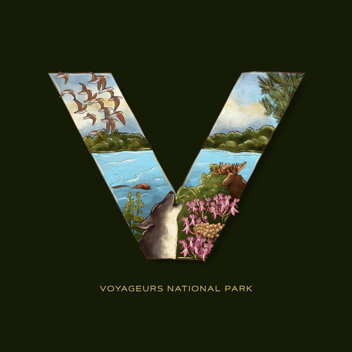 V is for Voyageurs National Park