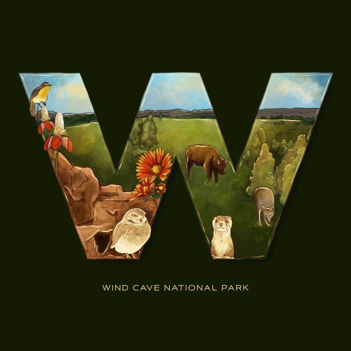W is for Wind Cave National Park