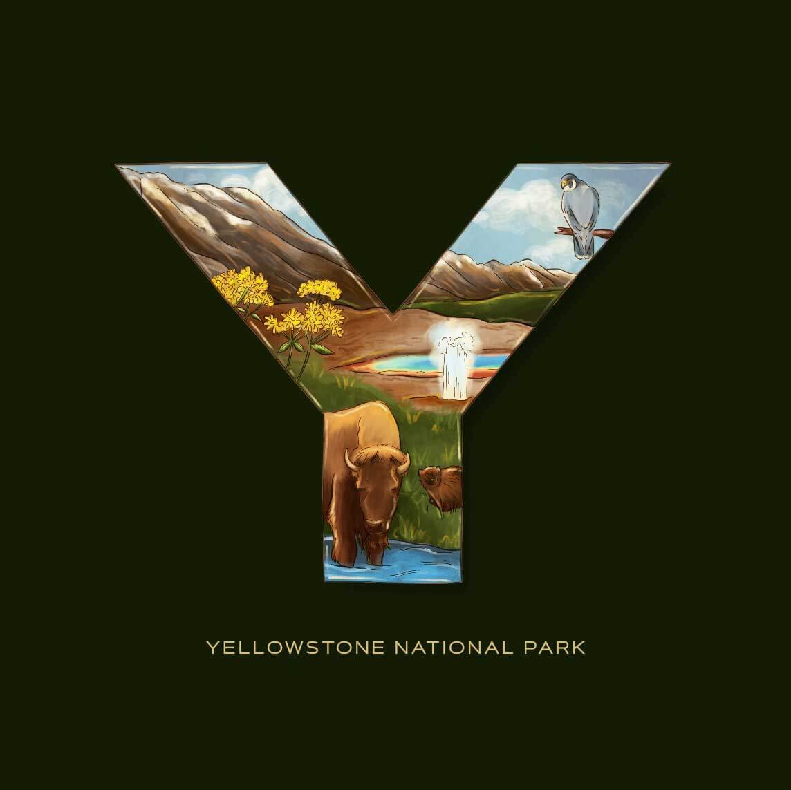 Y is for Yellowstone National Park