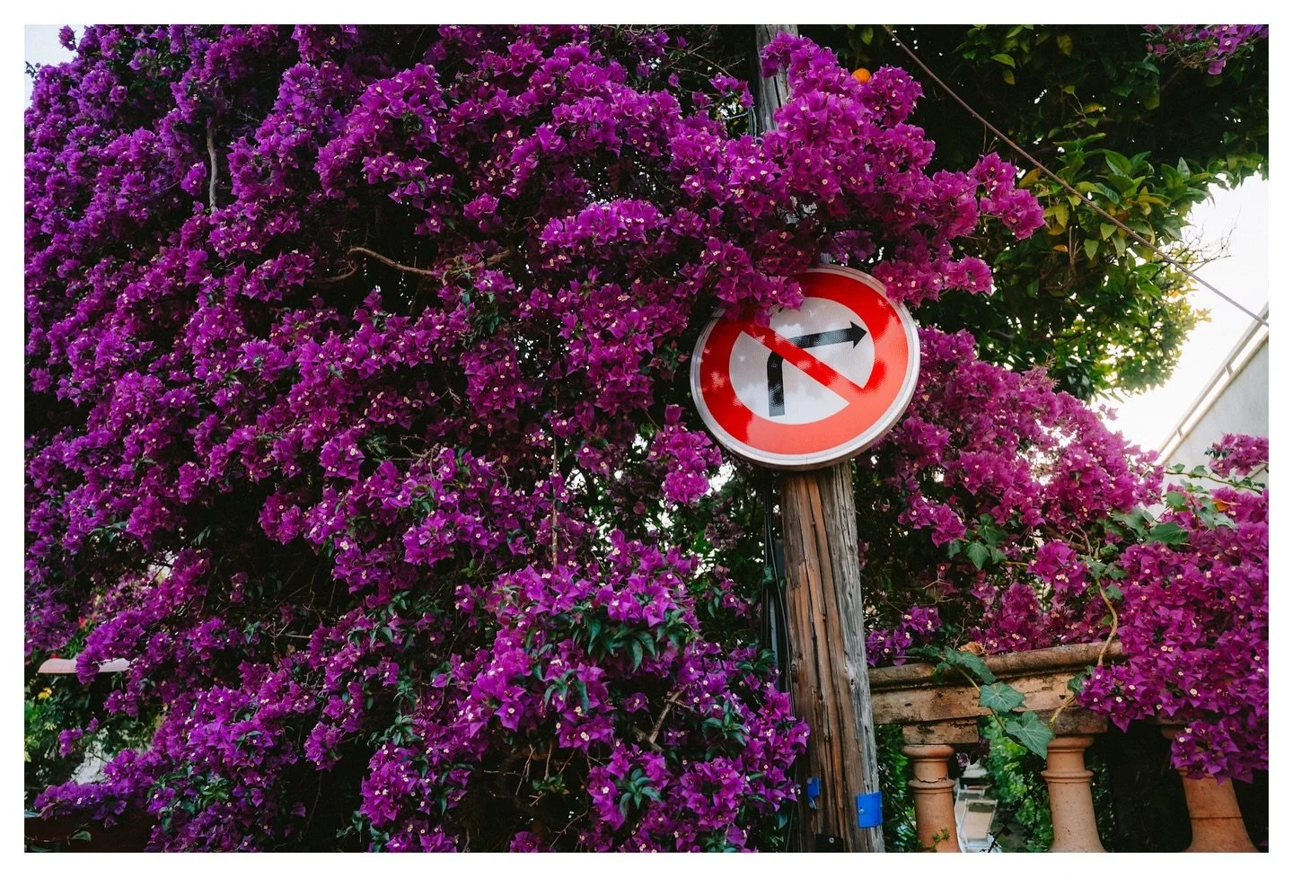 A perfectly unremarkable evening on the streets of Le Cannet, France. 

Finally revisiting some moments from the summer, and even though all this night really entailed was a sweaty walk to a store with some friends, it stands out as one of my favorit