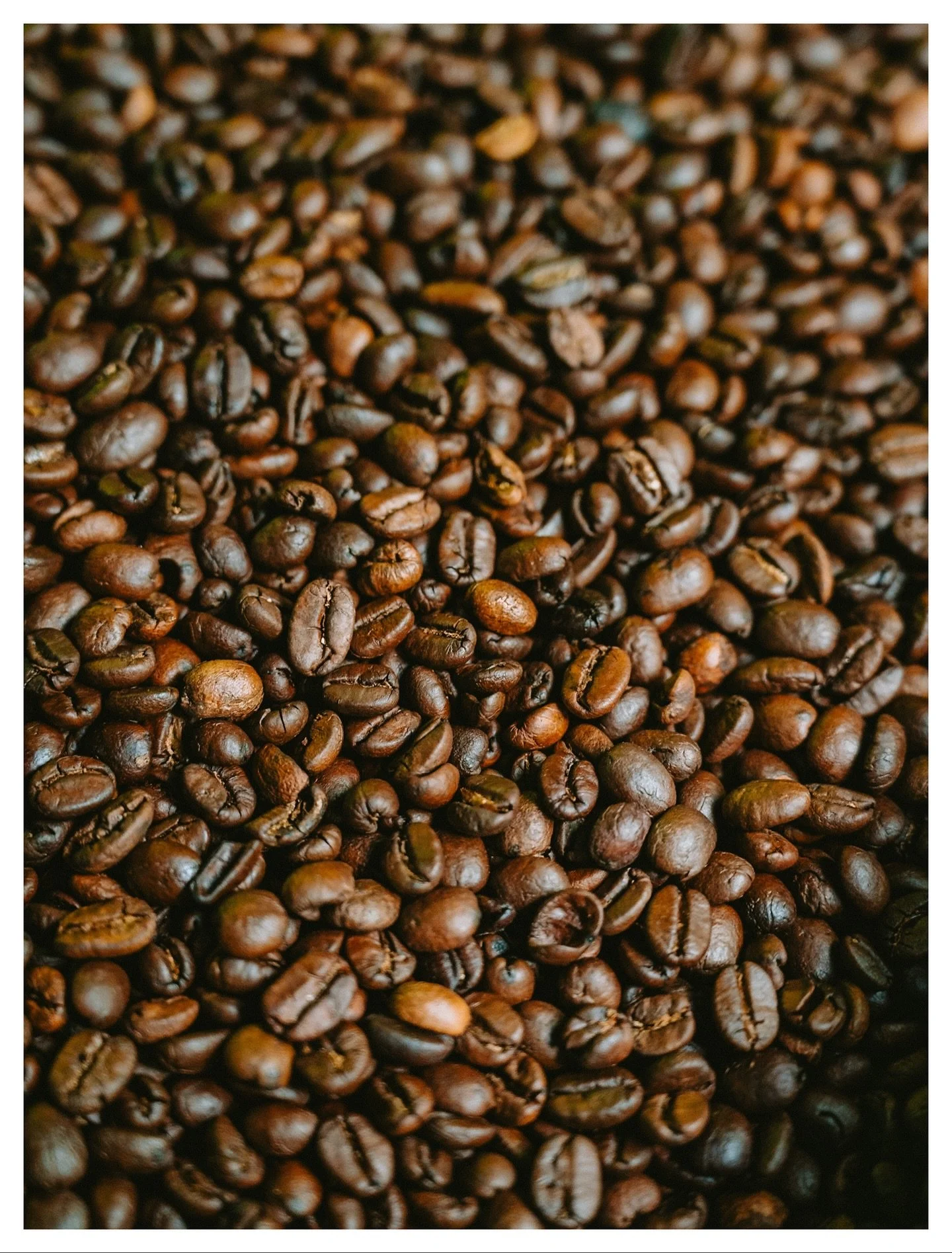 Got to take a tour of @cafedonemilio_8 a few weeks ago in Costa Rica, and it was basically a dream come true for me. 

It was super cool to see such a behind the scenes look at something I love so much. Here&rsquo;s a few shots from the inside portio