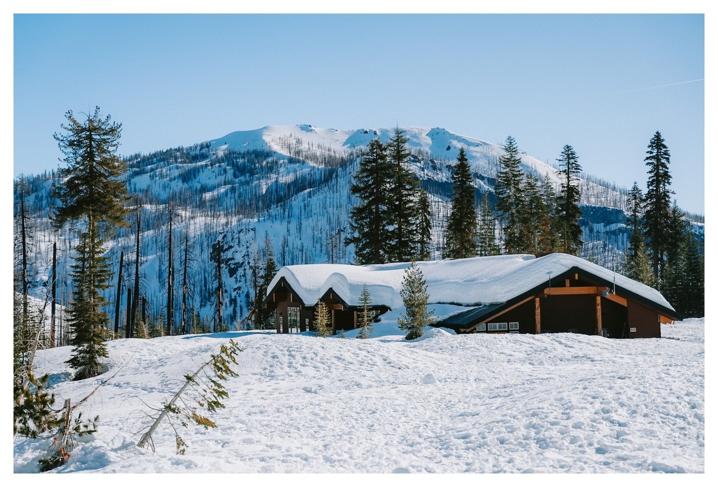 A snowy morning in Lassen Volcanic National Park.

This was one of the first places I went on my big roadtrip last winter. Although I could only access a small part of the park because of the snow, I also had the entire place to myself while I was th