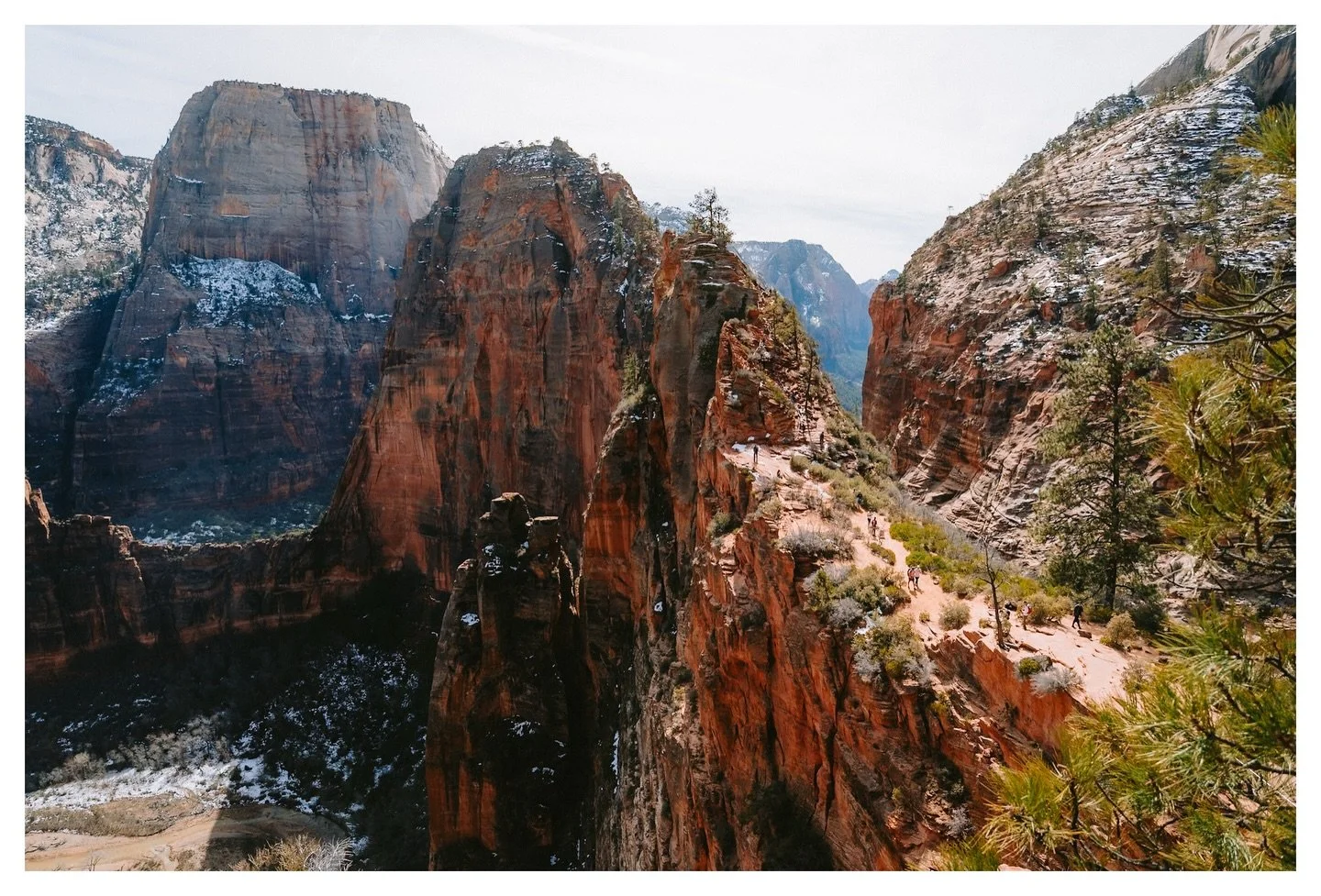 A few shots of the infamous Angel&rsquo;s Landing in Zion National Park. 

Only took 3 trips up here to Scout Lookout and the West Rim Trail to get some photos of this place that I actually like. Maybe one day I&rsquo;ll get something other than hars