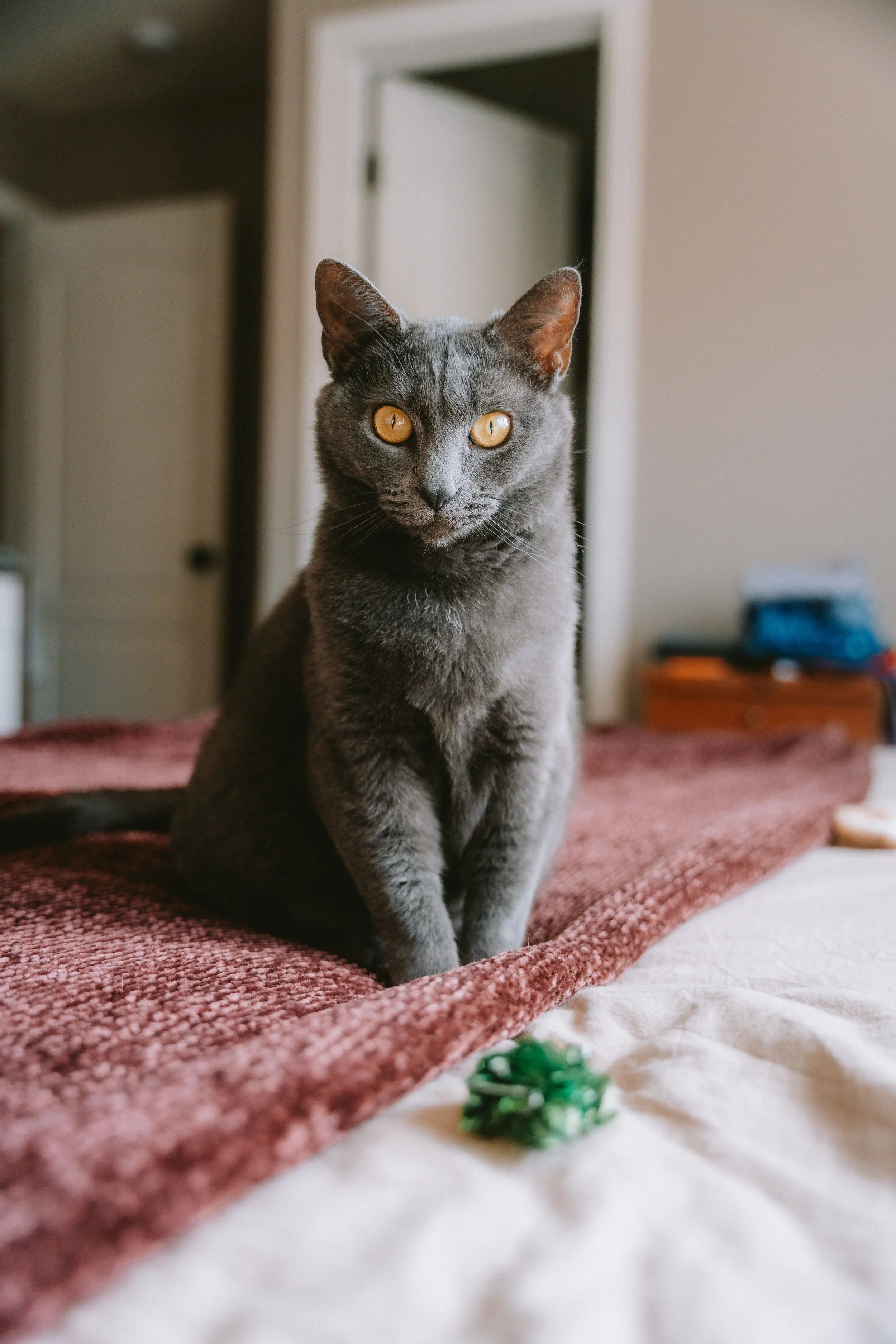 A7400018.jpg