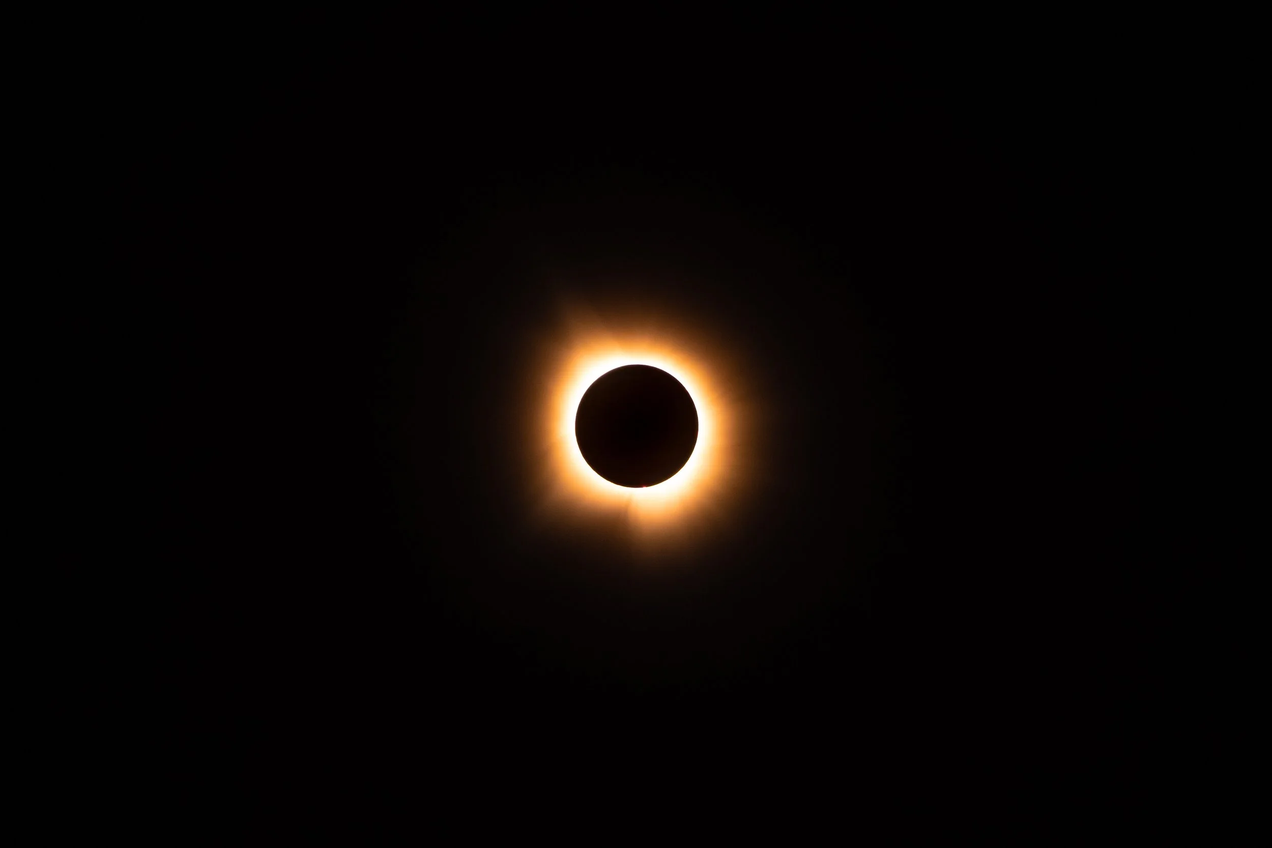 A7403390-Enhanced-NR.jpg