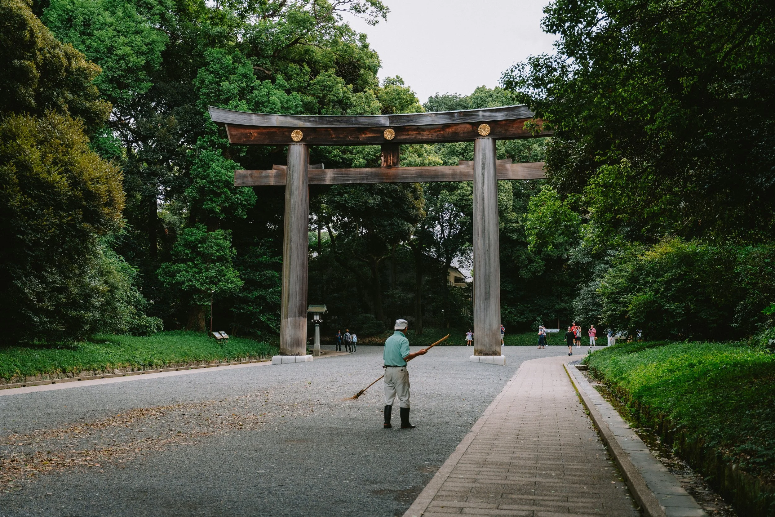 A7409611.jpg