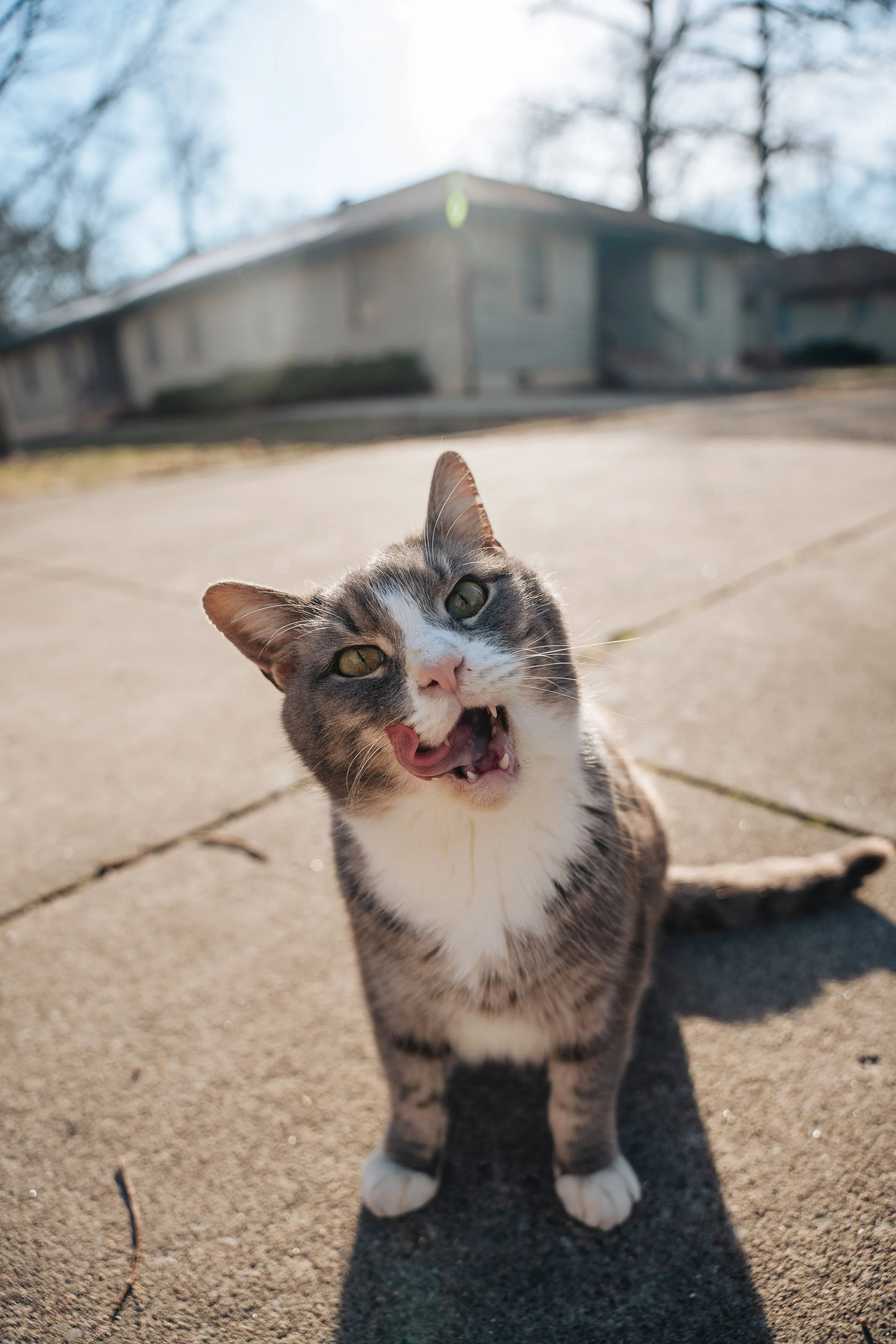 A7400525.jpg