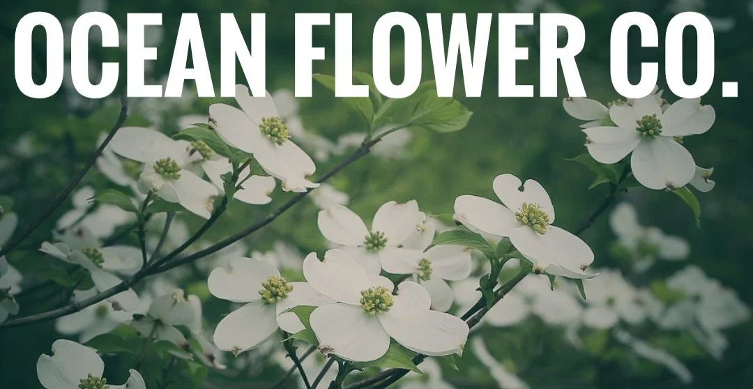 Ocean Flower Co.