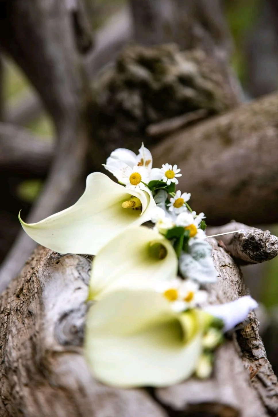 flower 7.jpg