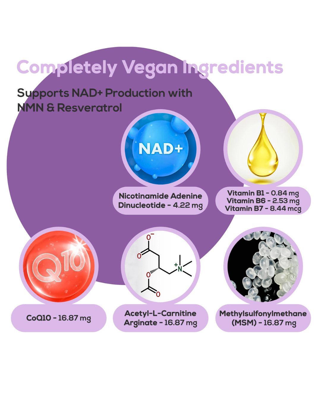 LYVLI NAD Ingredients.png