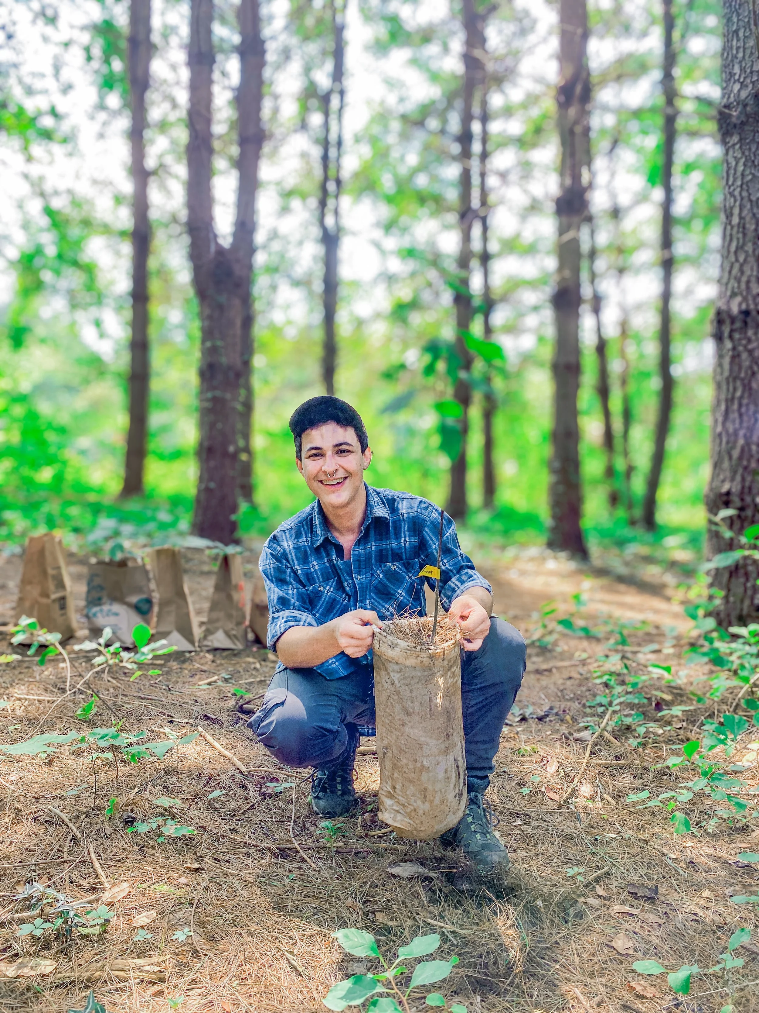 Young student crouching in the forest, holding a sapling and smiling