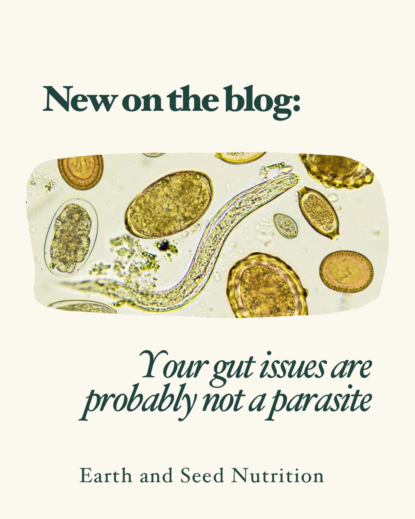 Parasites get a lot of the credit when it comes to a variety of gut issues, but in clinical practice, this is not what I&rsquo;m seeing. Parasites can be a symptom of a poor ecosystem in your gut microbiome - so put the parasite cleanses down and wor
