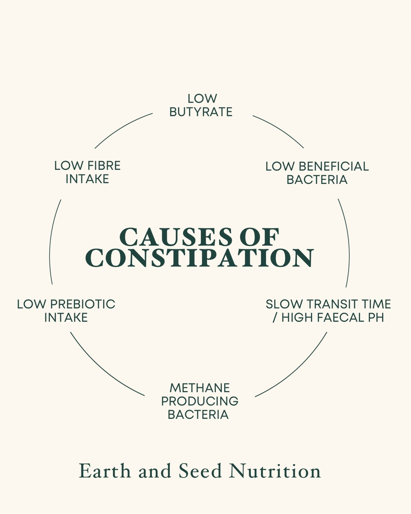 Constipation, it&rsquo;s one of those annoying (and uncomfortable!) symptoms that we don&rsquo;t talk about enough💩

Beyond the standard advice of drinking more water, eating fibre, and taking laxatives when it gets really bad, there&rsquo;s not a l