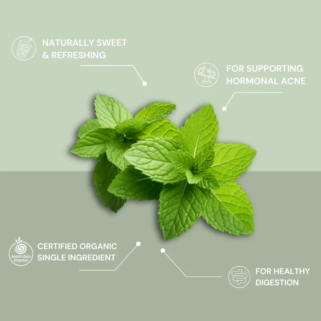 Spearmint_Call_Out_Benefits_6581e9ac-1efe-4e46-879f-0fa26eef0cbc_1280x.webp