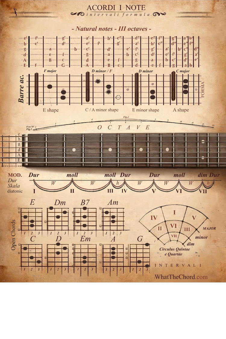 store-what-the-chord