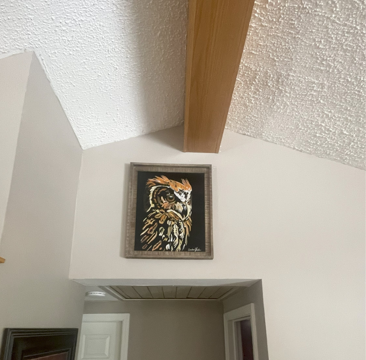 "Hootie" 16x20 Barnwood Framed Custom Commission Lake Mohawk, Malvern Ohio