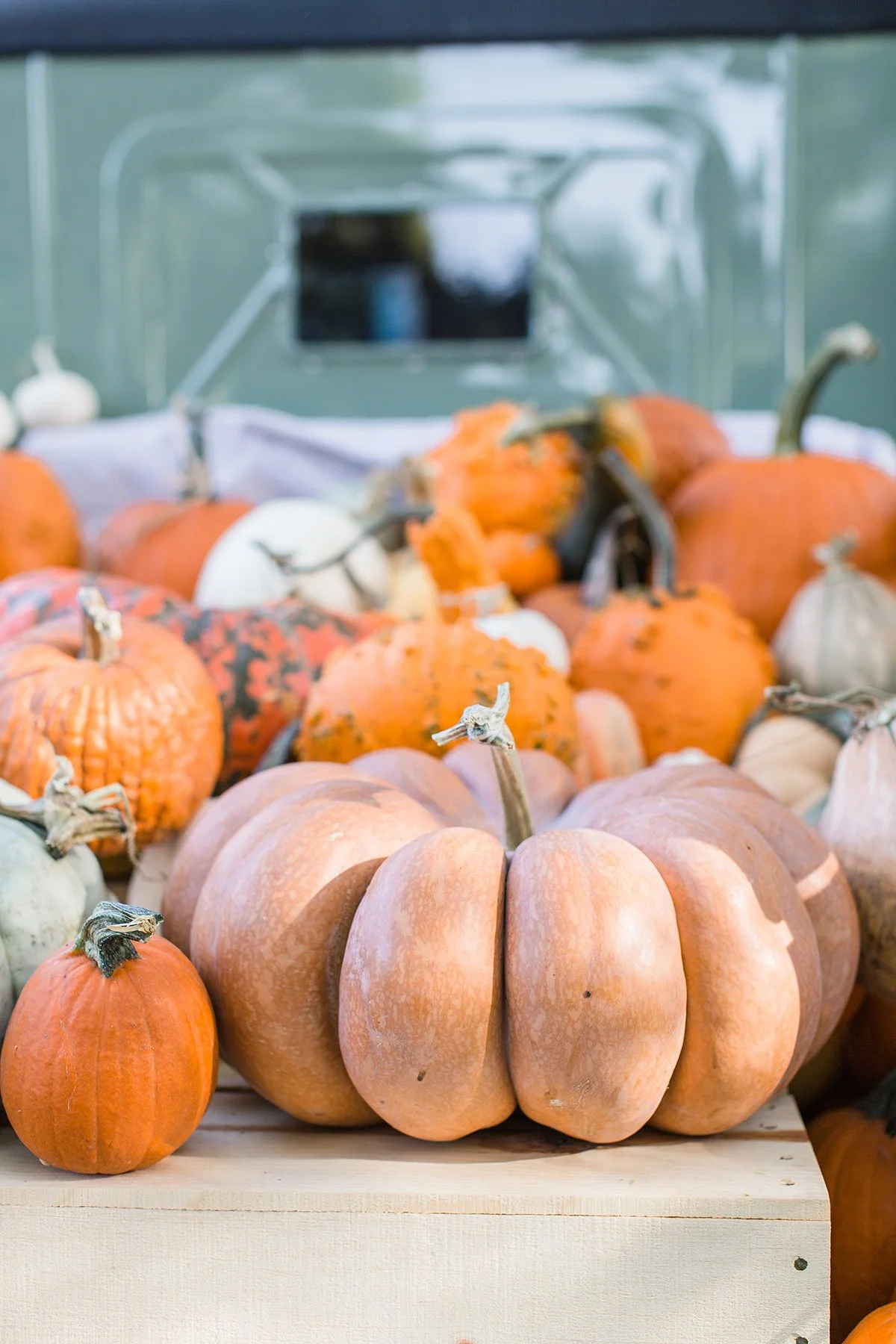 Fall Fun in Denver’s West Suburbs