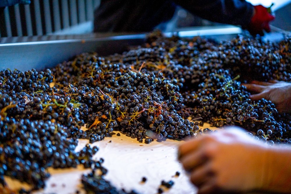 Harvest Is Your Best Marketing Campaign