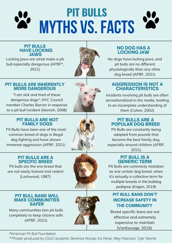 Myths VS Facts Pit Bull type dog