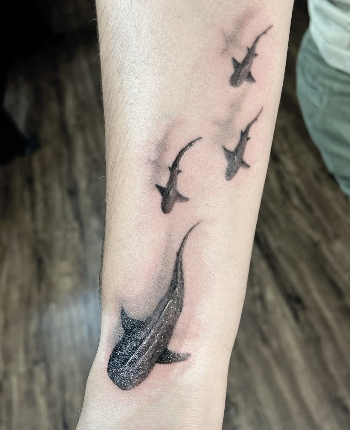 3D realistic tattoo of four sharks swimming with their shadows underneath, all in blackwork on a person's arm.