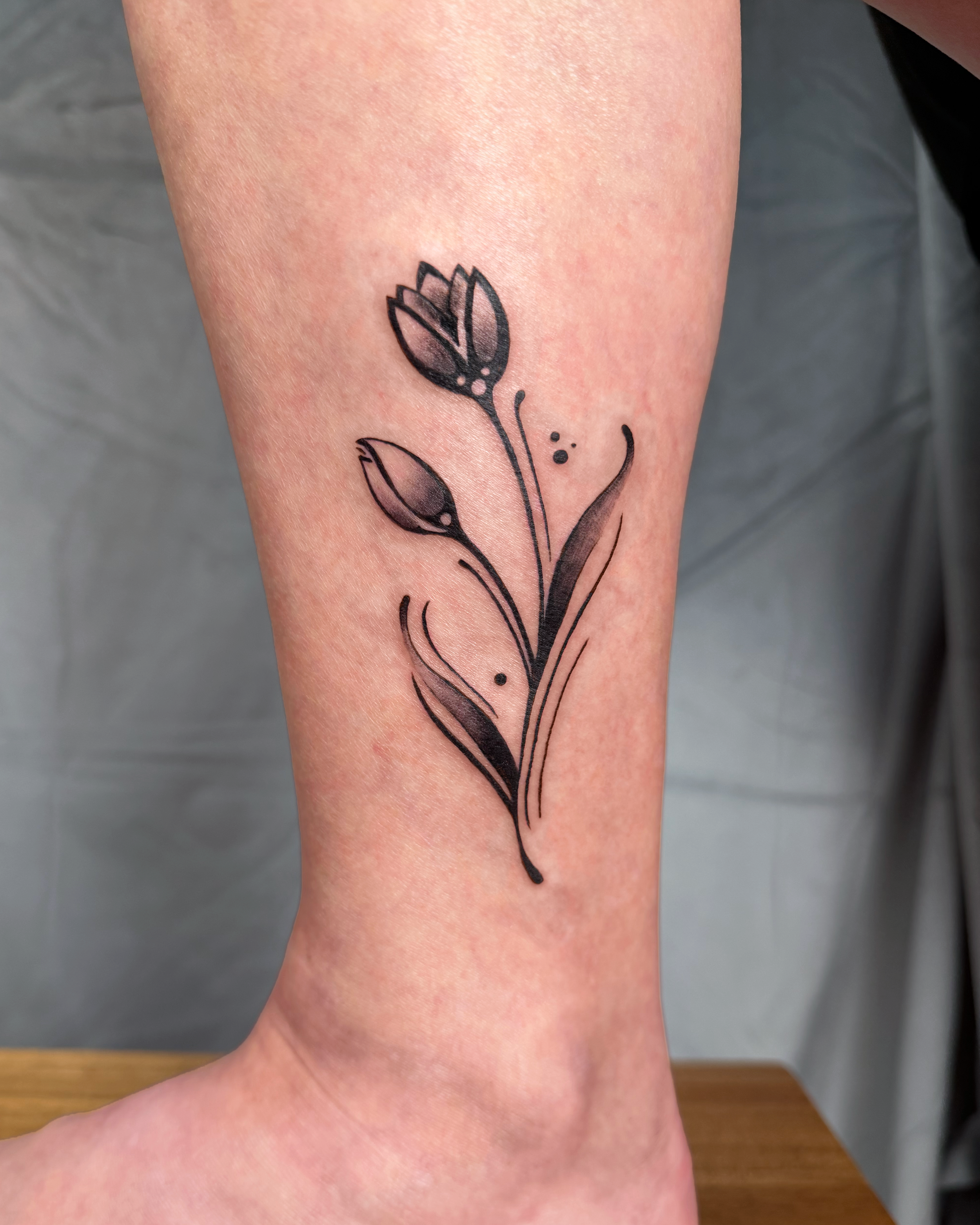 lauren tulips_5.png