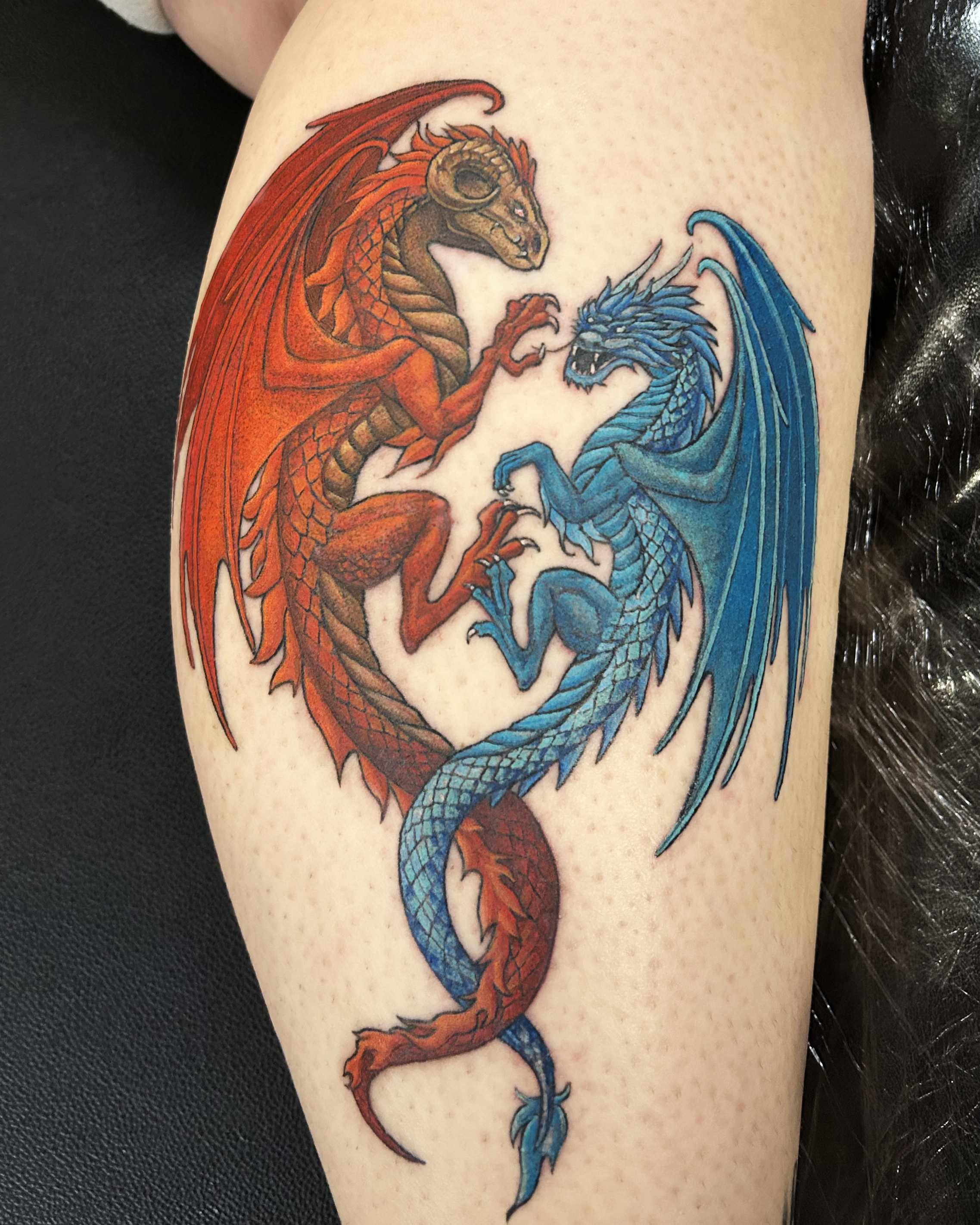 Tattoo of a red and orange dragon battling a blue and teal dragon, intertwined in a circular design on a person's calf.