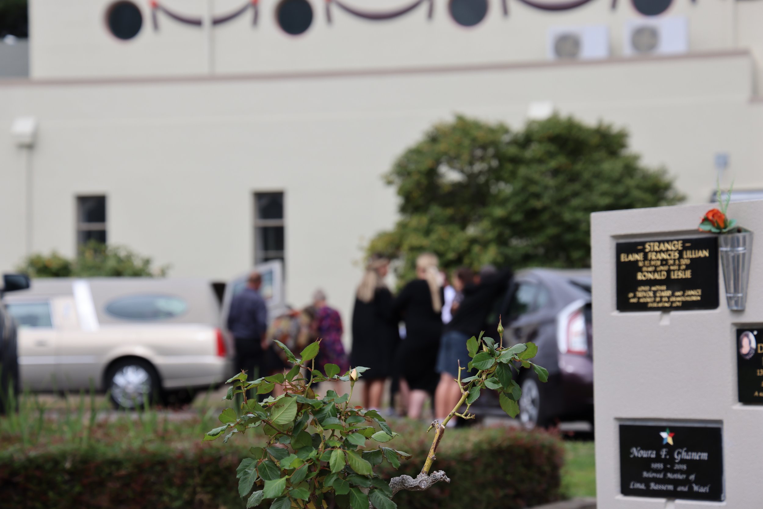 Pre-Plan Your Funeral in Palmerston North | Robert J. Cotton Funeral