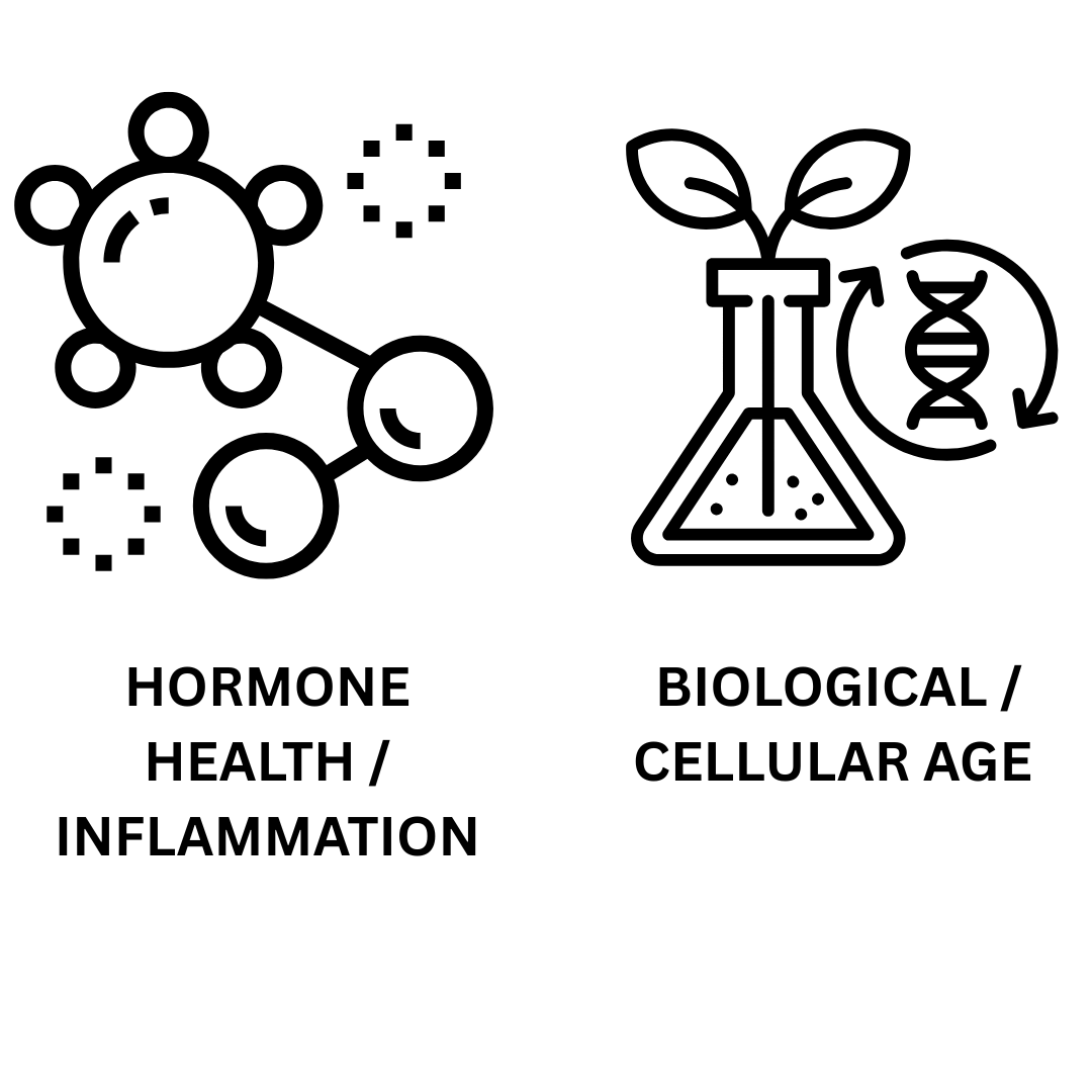 Longevity Services — mdlongevitylab.com