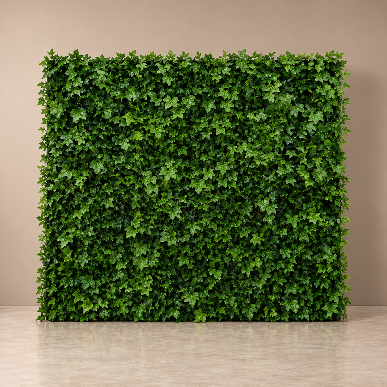 Ivy Wall