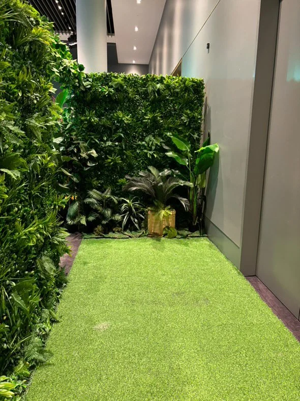 Photo 19-12-2024, 10 32 56 (11).jpg