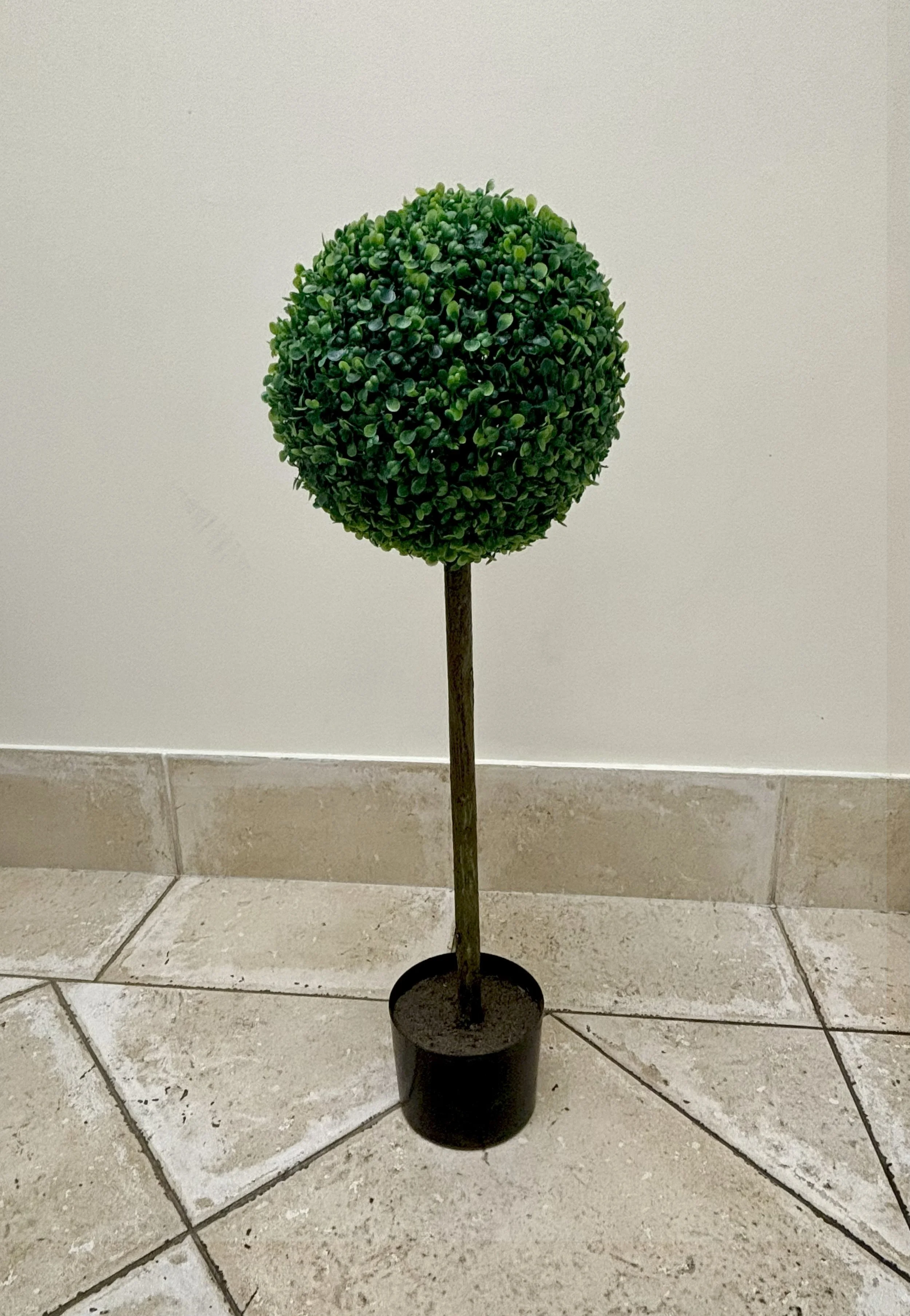 Topiary Boxwood Ball Tree – 75cm H.jpg