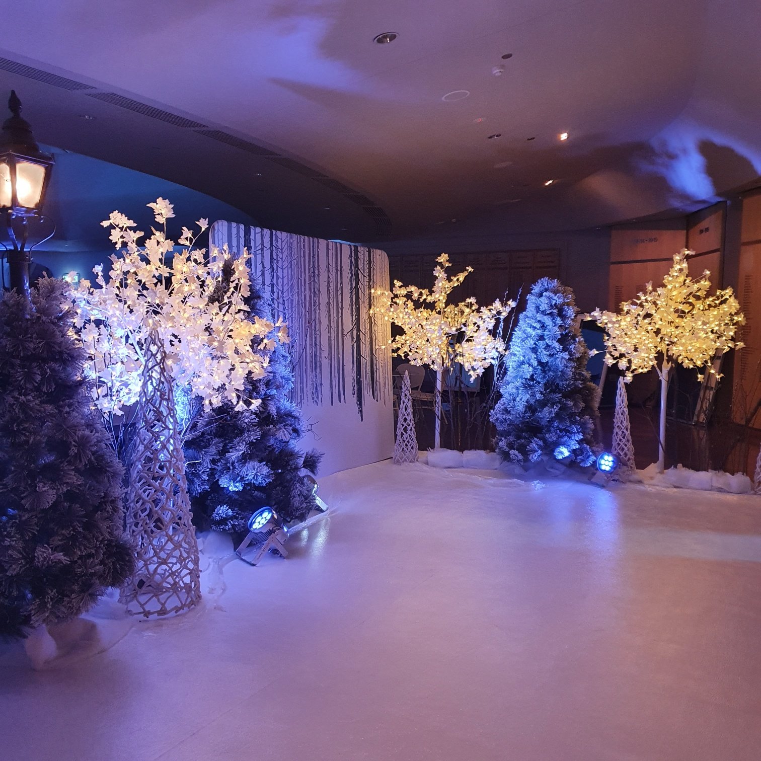 Winter Forest - LED trees, snowtipped trees, snow, bare branches and tension backdrop winter theme .jpg