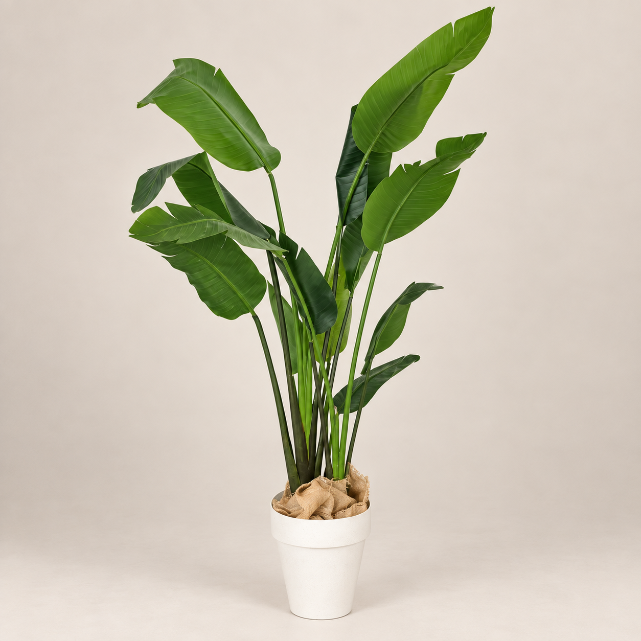 Silk - Bird Paradise - Tree - 180CM H.png