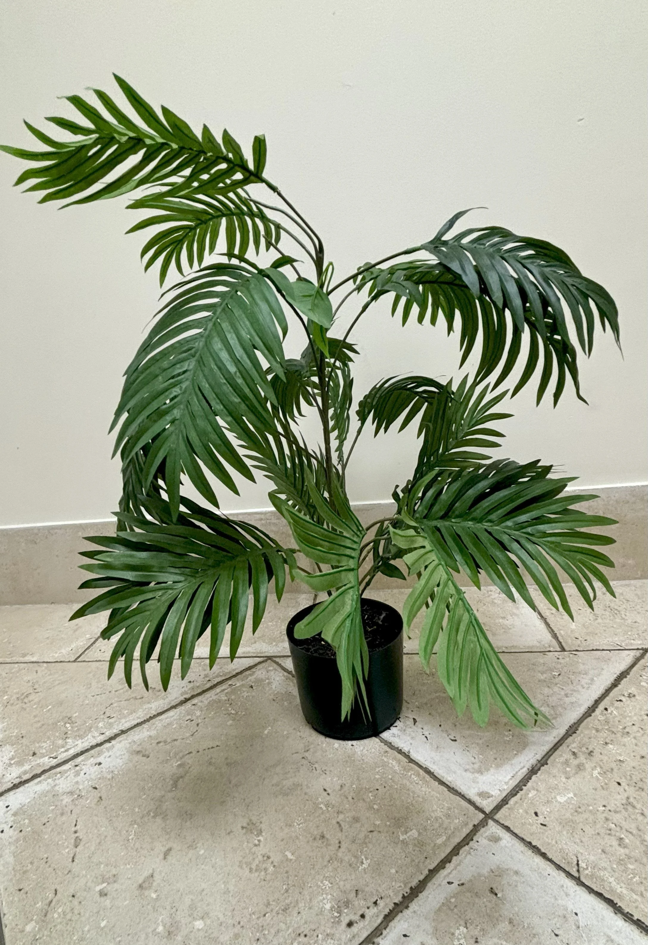 Palm Tree - Small.jpg