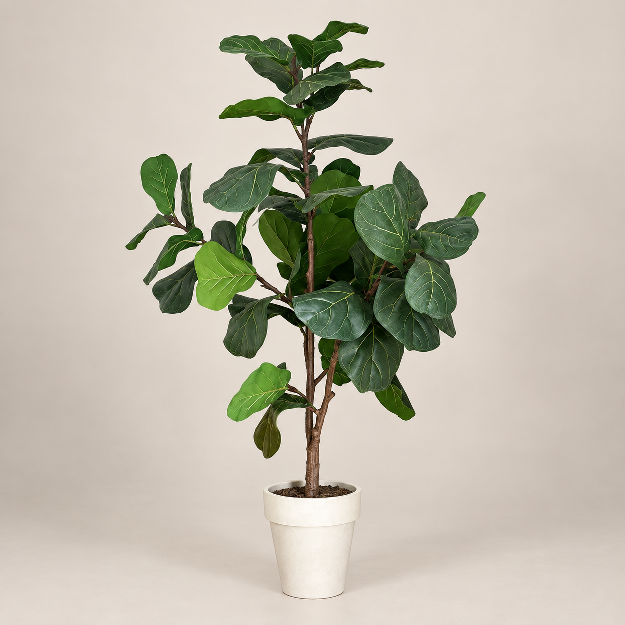 Silk - Fiddle - Leaf - 175CM H.png