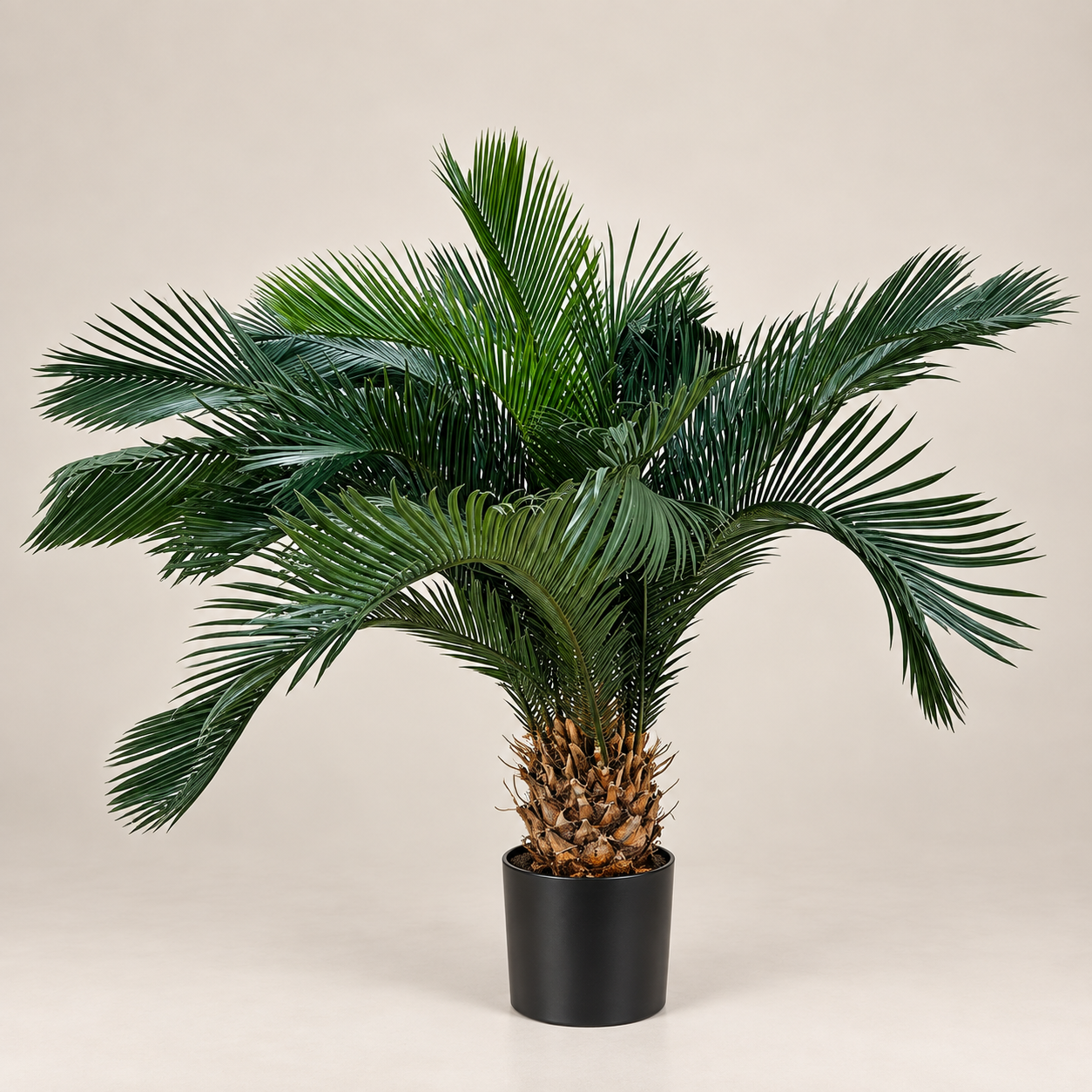 Silk - Palm - Tree - 75CM H.png