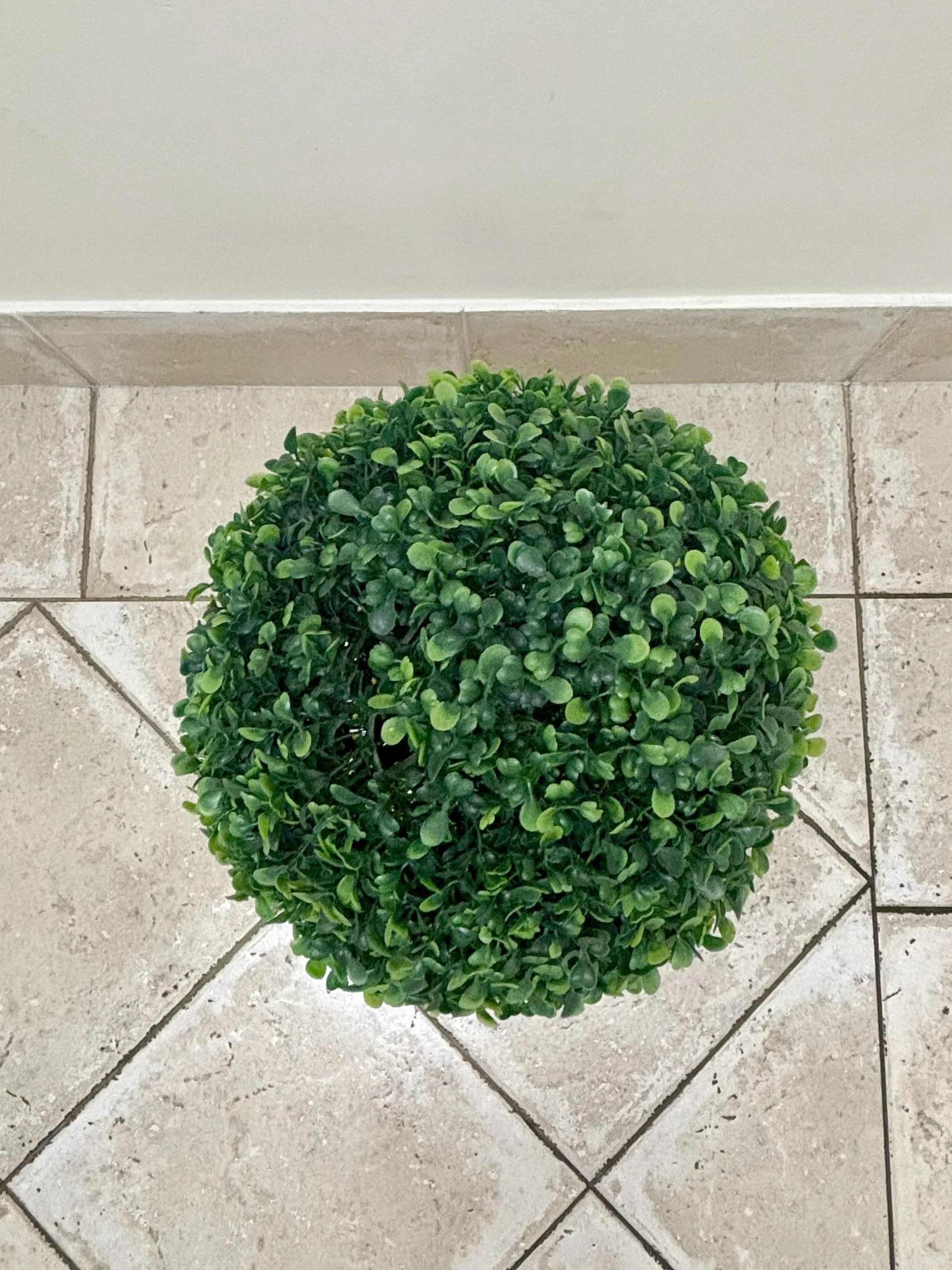 Topiary Boxwood Ball Tree – Top.jpg
