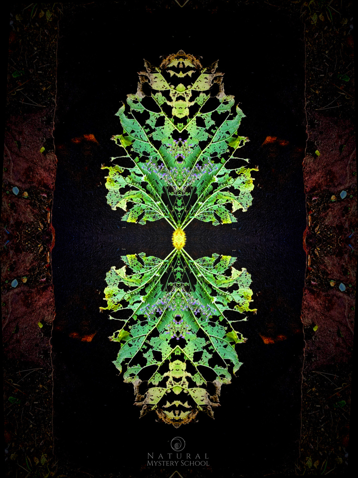 Principle of Emptiness