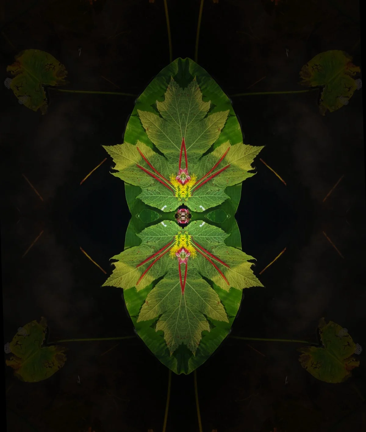 Mandala