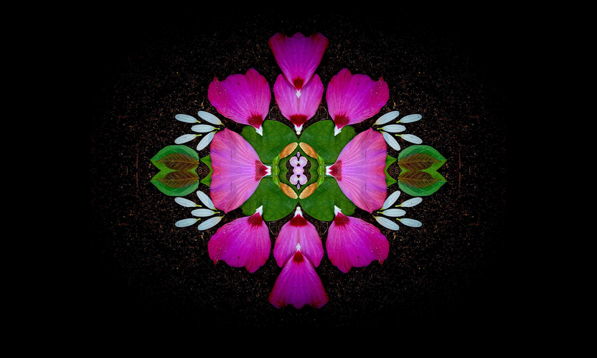 Conscious Attunement