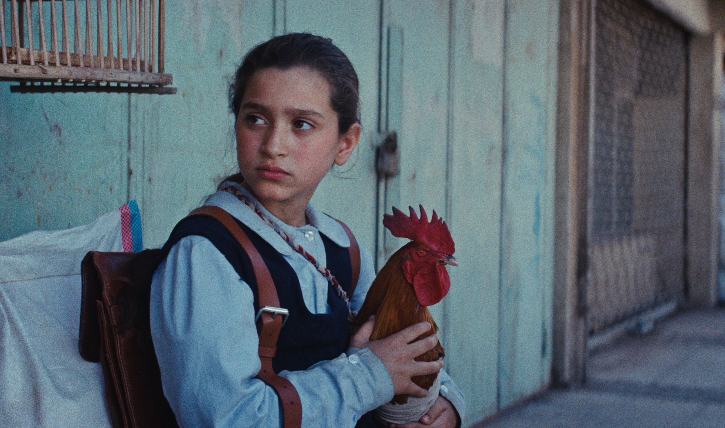 The President’s Cake | 2025