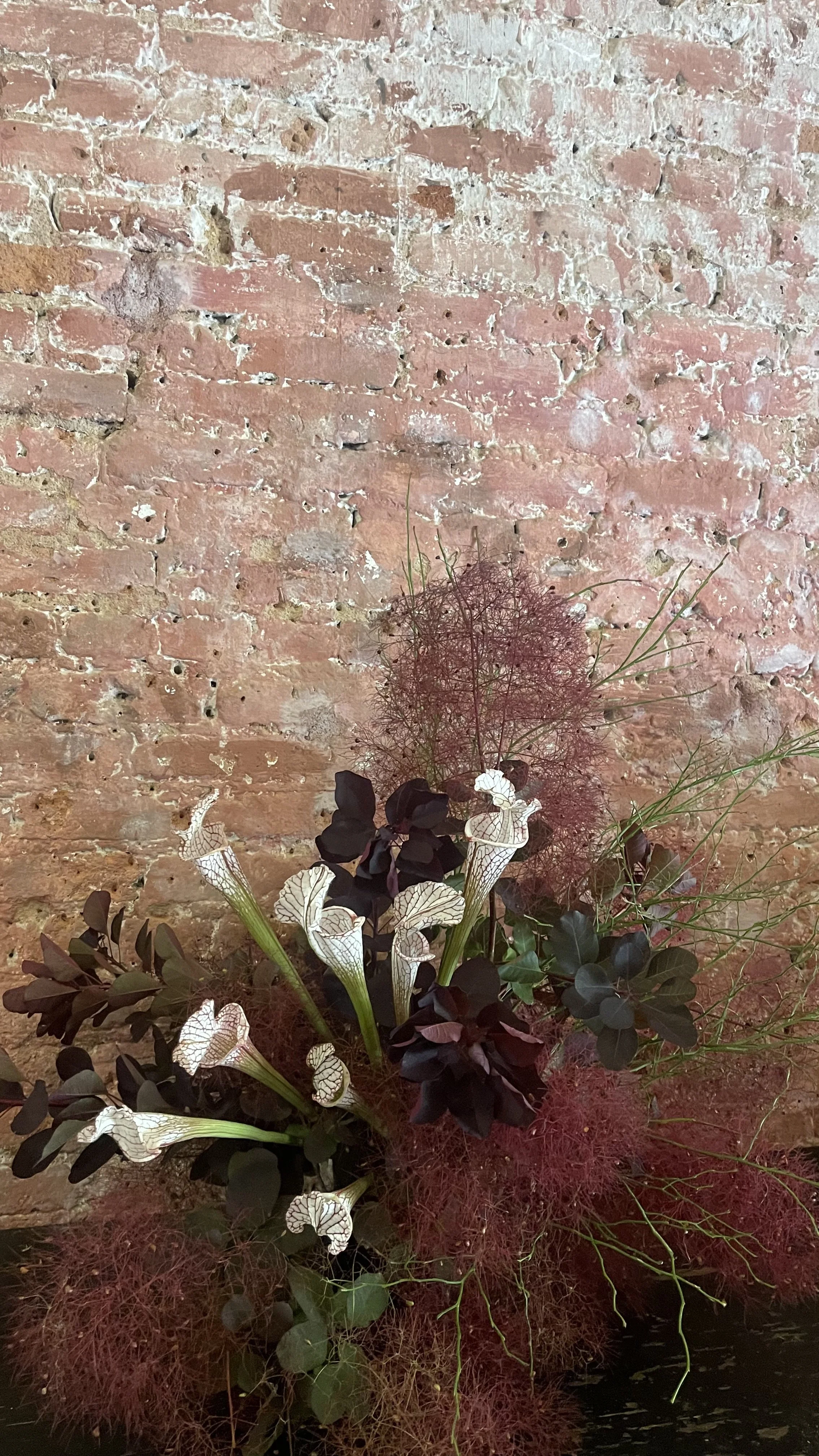 Botanical Artistry 