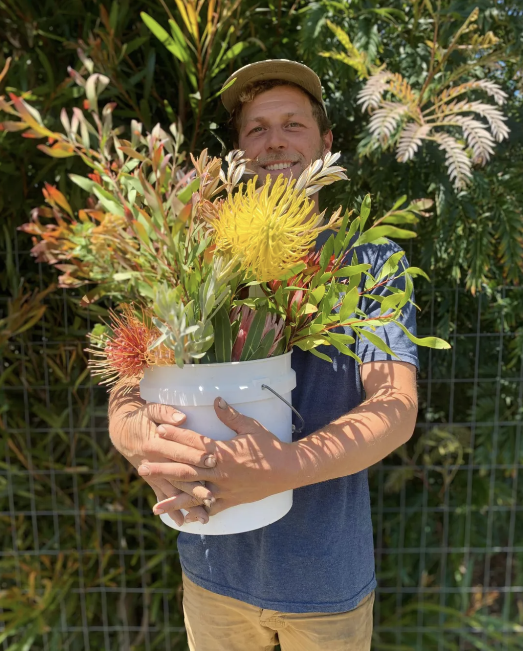 Screen Shot 2024-07-11 at 6.01.42 AM.png