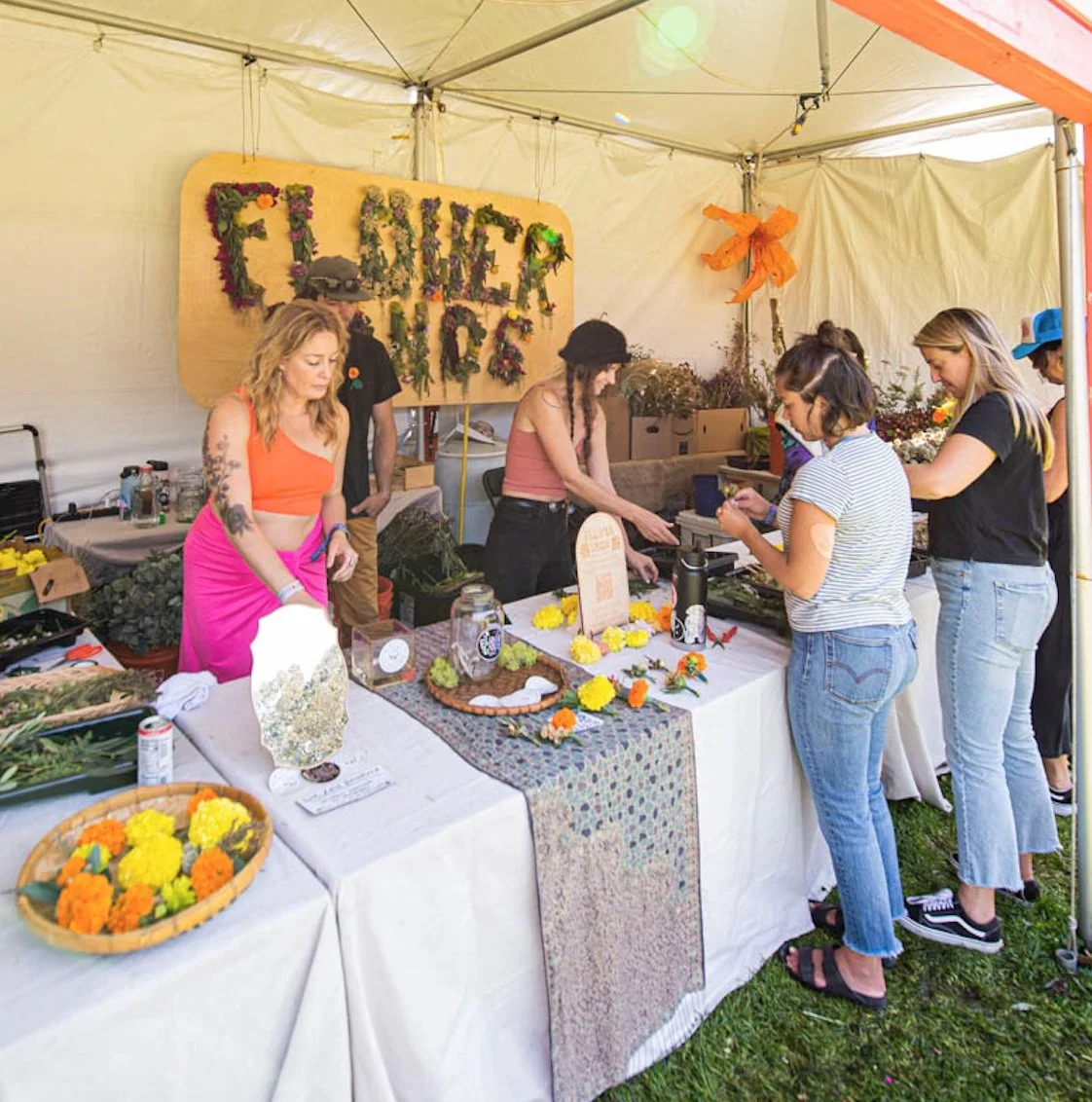 Screen Shot 2024-07-15 at 12.00.09 PM.jpg