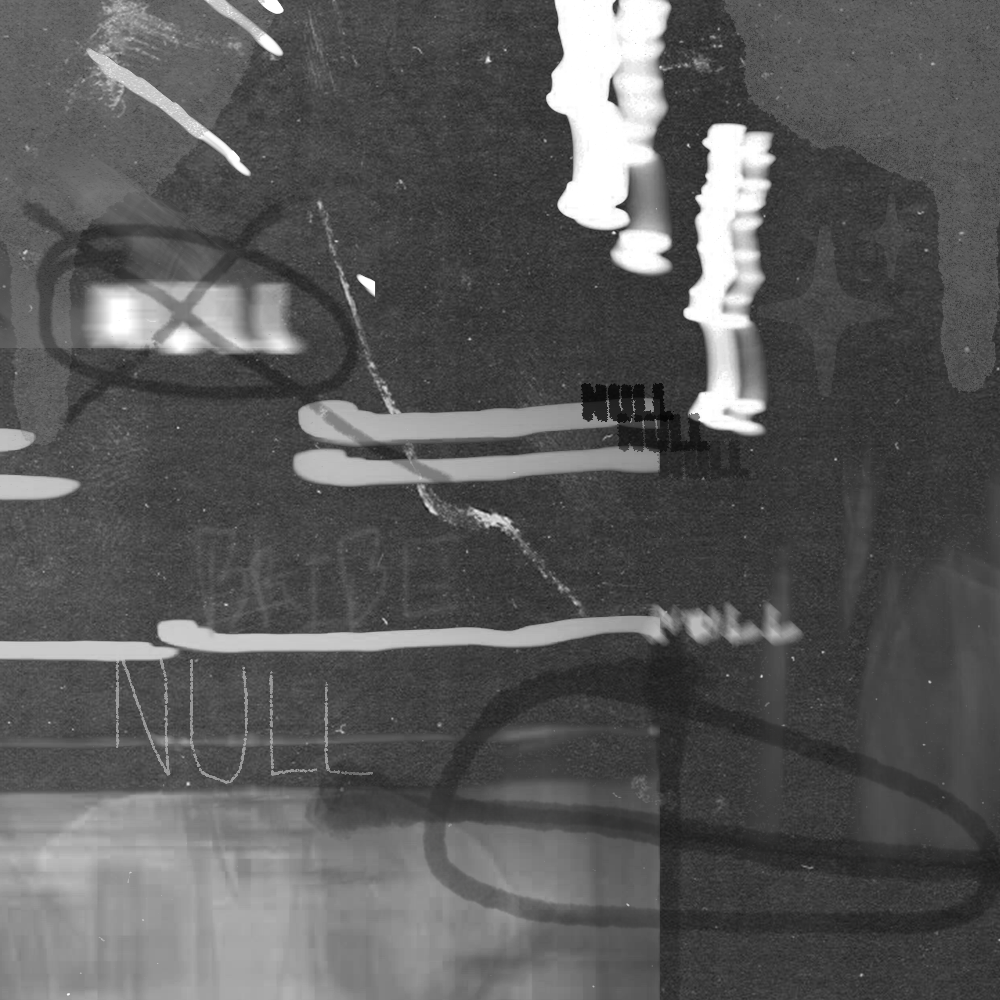 NULL COVER.png
