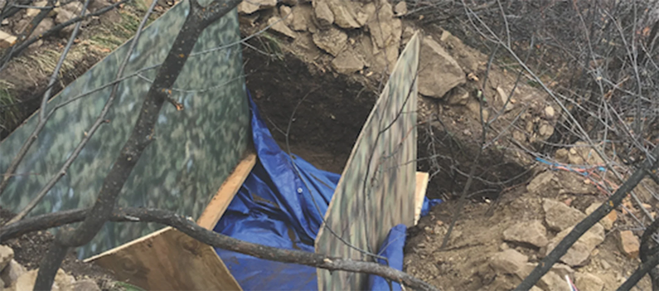 #508 Live at Paramount Theatre (Oakland Night 2)