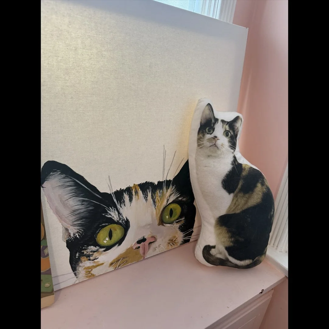 Dottie pillow &amp; canvas (creator unknown)